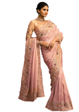Indian bridal silk sari elegant look
