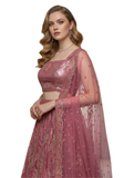 Magnifique lehenga rose Haniya