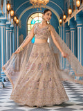 Lehenga Rakshana beige en tulle brodé motifs paons, vue complète