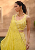 Lehenga designer jaune Fadila